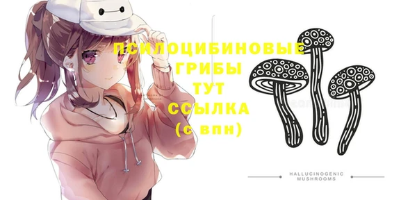 не бодяженный Аркадак