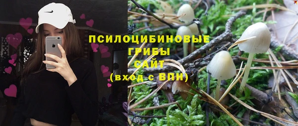 скорость Арсеньев
