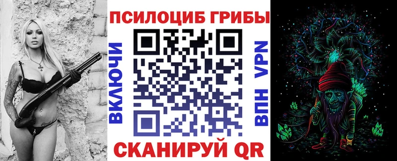 Галлюциногенные грибы мицелий  Саки 