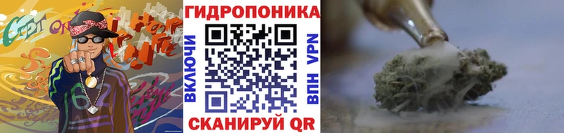 Конопля сатива  где продают наркотики  Саки 